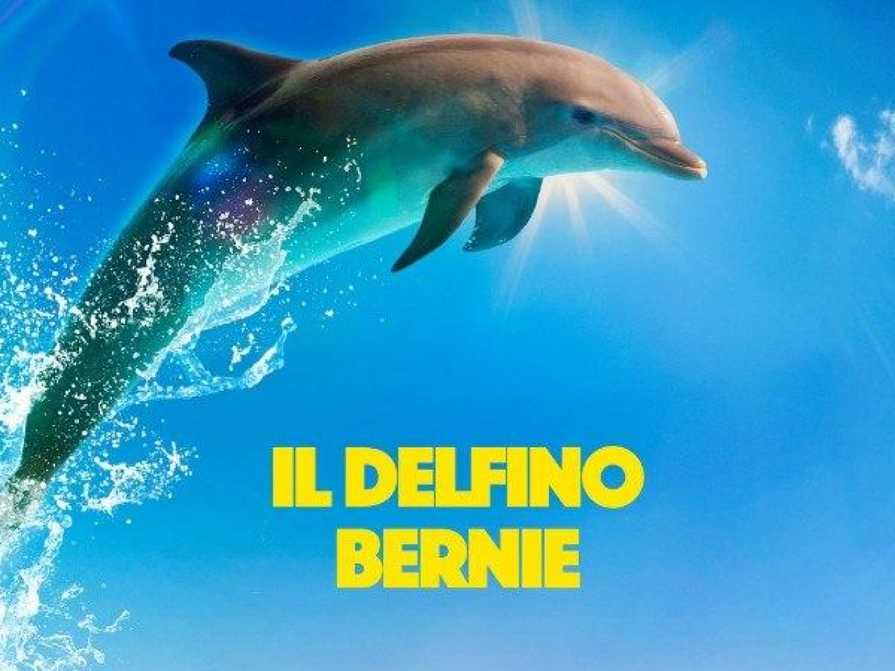 Bernie Il Delfino