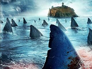 Planet Of The Sharks