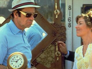 Visite A Domicilio film